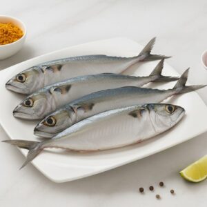 Ayala / Mackerel / Bangda / Aylai