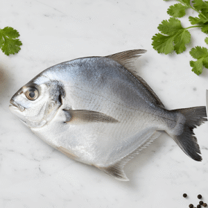 Avoli White / Silver Pomfret