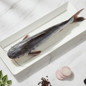 Koori / Catfish / Etta