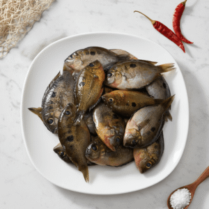 Karoop / Orange Chromide / Pathipootta